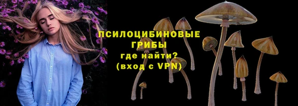 мет Бородино