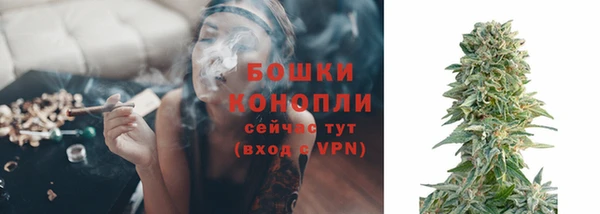 мет Бородино