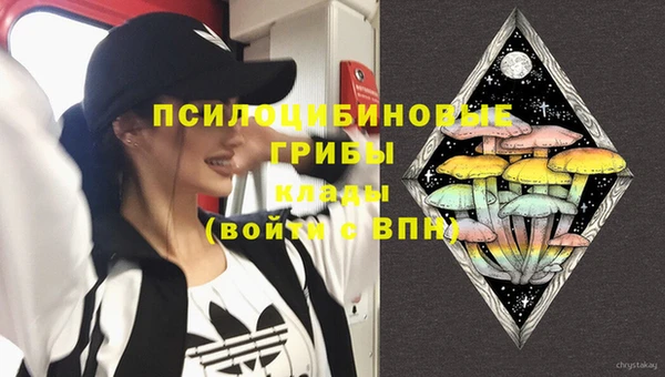 мет Бородино