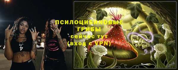 мет Бородино