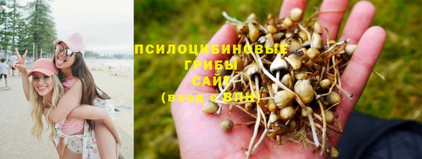 мет Бородино